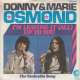 donny & marie osmond i'm leaving it (all) up to you