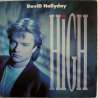 david hallyday high