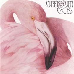 christopher cross another page