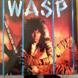 wasp inside the electric circus