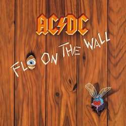 AC/DC fly on the wall