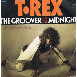 T rex the groover