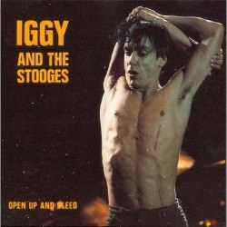 IGGY and THE STOOGES