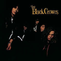 the black crowes shake your money maker