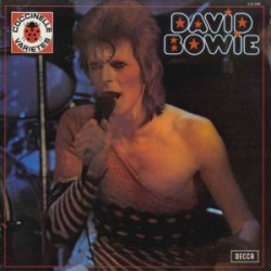 David Bowie coccinelle varietes
