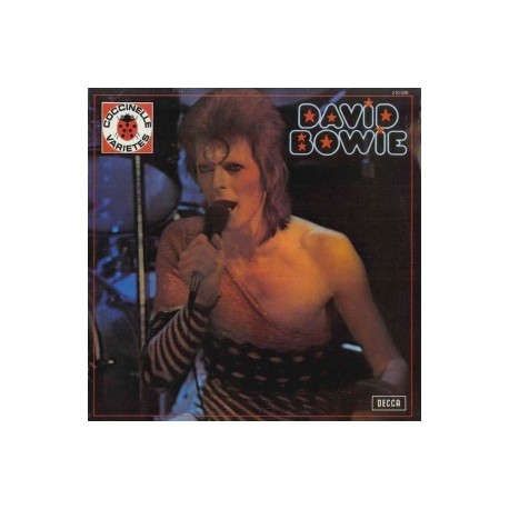 David Bowie coccinelle varietes