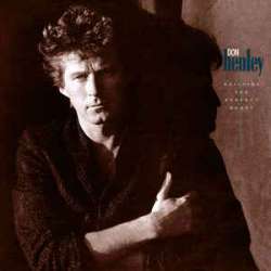 don henley building the perfect beast