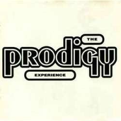 prodigy experience