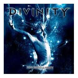 divinity the singularity