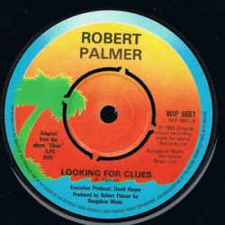 robert palmer looking for clues