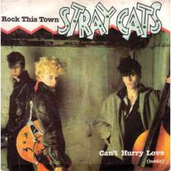 stray cats rock this town