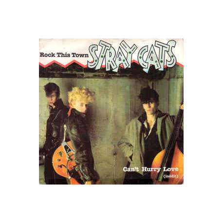 stray cats rock this town