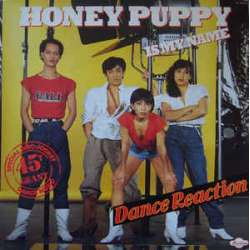 dance reaction honey puppy is my name