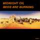 midnight oil beds are burning