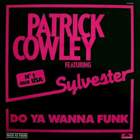 patrick cowley featuring sylvester do ya wanna funk