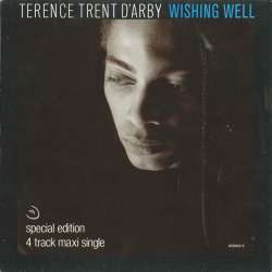 terence trent d'arby wishing well