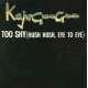 kajagoogoo too shy