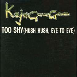 kajagoogoo too shy