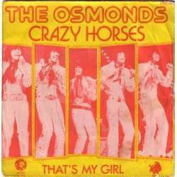 the osmonds crazy horses