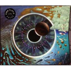 pink floyd pulse live