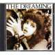 kate bush the dreaming