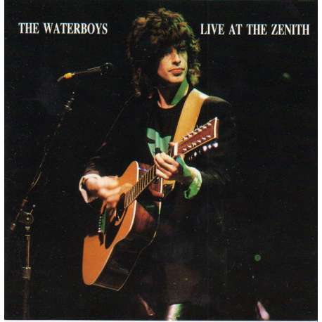the waterboys live at the zenith
