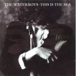 the waterboys this is the sea 