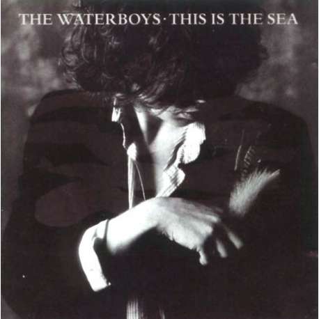 the waterboys this is the sea 