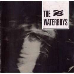 the waterboys the waterboys