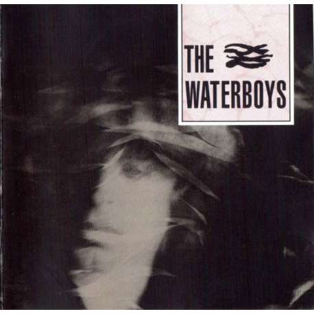 the waterboys the waterboys