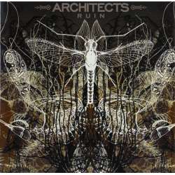 architects ruin
