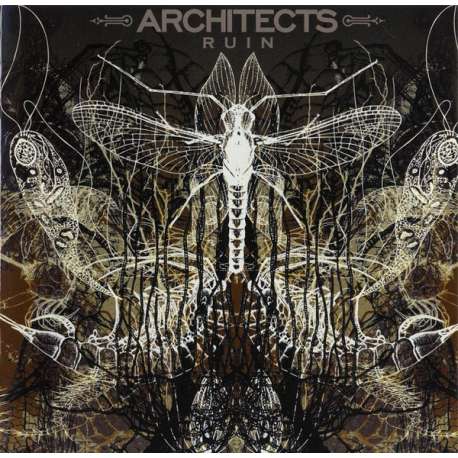 architects ruin