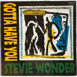 stevie wonder gotta have you