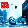 Mr big bump ahead