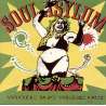 soul asylum while you were out