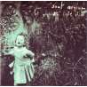 soul asylum let your dim light shine