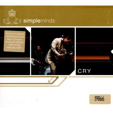 simple minds cry