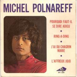michel polnareff pourquoi faut il se dire adieu
