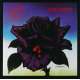thin lizzy black rose