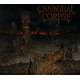cannibal corpse a skeletal domain