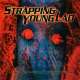 strapping young lad heavy as a really heavy thing