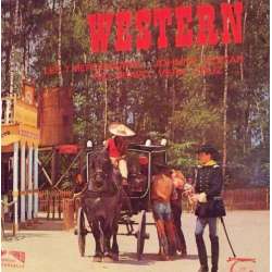 the wichitas western