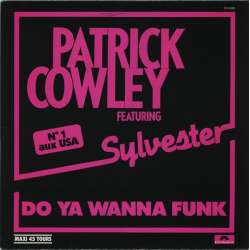 patrick cowley featuring sylvester do ya wanna funk