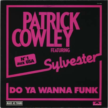 patrick cowley featuring sylvester do ya wanna funk